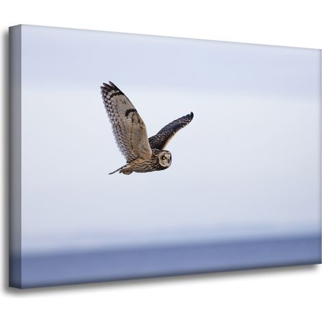 Leinwanddruck „Tiere: Eule im Flug“, 70 x 50 cm