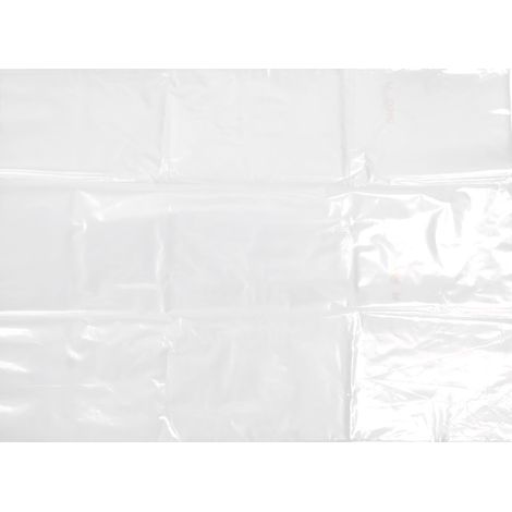 Film de Serre Transparent Polyéthylène Résistant au Gel 2x6m pour Jardin et Plantes Extérieur (1/5)