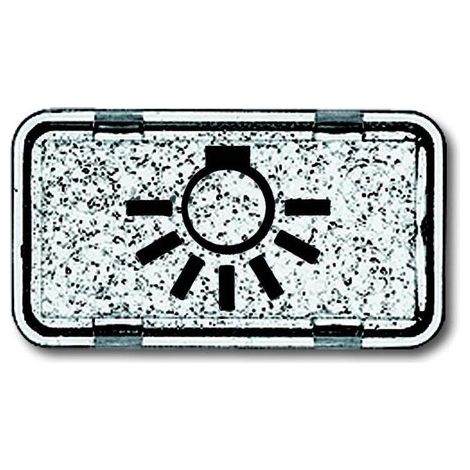 BUSCH-JAEGER 2622LI-101 TASTERSYMBOL LICHT GLASKLAR, ALLWETTER IP44 1714-0-0260