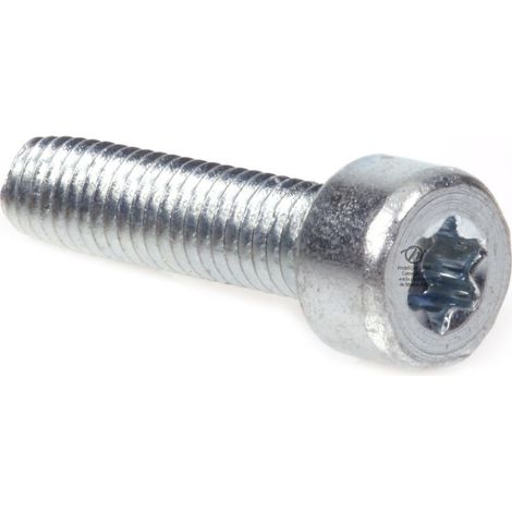 Vis Torx 27 M5 x 20 pour tronçonneuse Stihl 046 MS460