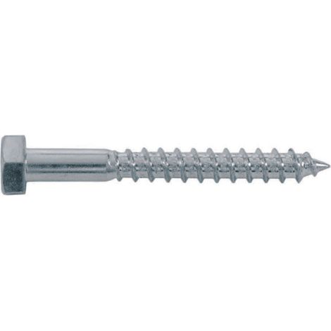 VITE TIRAFONDO TE - ZINCATA MM 10X300 CF=PZ 50 - 1 confezione