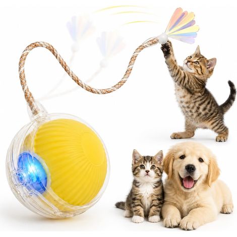 Balle interactive pour chat avec lumière LED – Jouet automatique pour chat avec queue en plumes, rechargeable via USB-C, pour chats et chatons d'intérieur (version améliorée) (1/5)