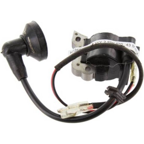 J-SKY 2 SPK    BOBINA ELETTRONICA  FIG 43