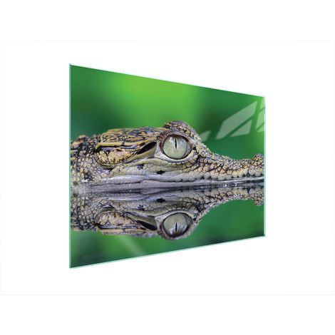 GLASSCHUTZPLATTE FÜR HERD 70x52 KROKODIL
