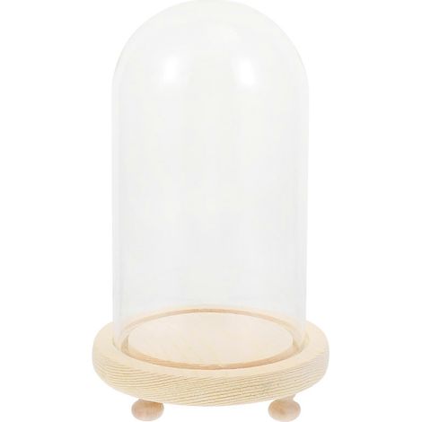 1 Ensemble de fleurs fraîches stabilisées créatives sous cloche en verre, décoration florale stabilisée (1/5)
