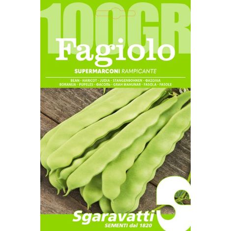 Semi per Fagioli Fagiolo Rampicante Supermarconi Sgaravatti 250 gr