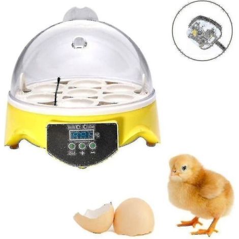 Automatischer Geflügeleierbrutapparat (7 Eier) mit Temperaturregelung, Hühnerbrüter Z-HG - Perfekt (1/5)