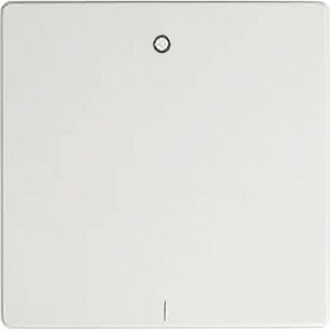 Tecla interruptor bipolar 16a blanca SIMON 82031-30 (1/2)