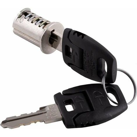 – Cylindre barillet de serrure à paillettes 18mm – Noyau interchangeable – 2 clés tête plate – Pour porte et portail - S0001