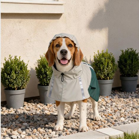 Manteau de pluie pour chien en similicuir sage vert taille M (1/5)