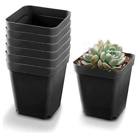 Paquete de 50 macetas negras para semilleros - Macetas cuadradas de plástico para plantas - Macetas pequeñas para interior/exterior (Negro/ 6x6x5,5cm) (1/5)