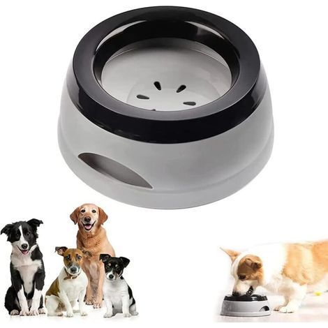 pair Couvercle anti-fuite et anti-éclaboussures, gamelle pour nourriture, gamelle pour chien, gamelle pour chat (1/4)