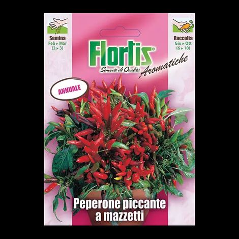 PEPERONE PICCANTE A MAZZETTI (1/3)