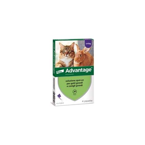 ANTIPARASSITARIO ADVANTAGE PER GATTI E CONIGLI OLTRE KG.4  in conf. da 4 pipette SPOTON    ADVANTAGE