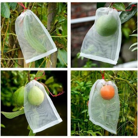 10 Stück Obstschutzbeutel 40 x 60 cm, Insektenschutzbeutel mit Kordelzug, atmungsaktiver Netzbeutel, wiederverwendbarer Obstschutzbeutel, weißer (1/2)