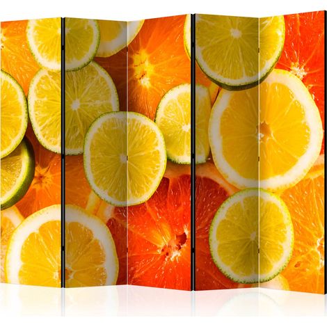 Paravento - Citrus fruits II [Room Dividers] - 225x172 (1/4)