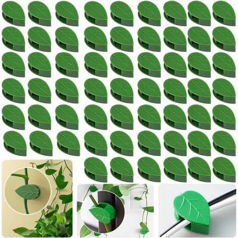 Pflanzenclips für Kletterpflanzen grüne Wandhalterungen 40er Set (1/5)