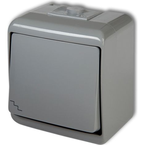 Interruptor de escalera Junior Gris IP54 10WHE-3