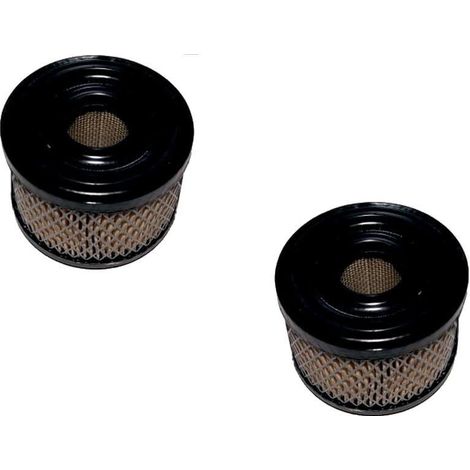 Filtro Air BRIGGS et STRATTON 390492 - 496047