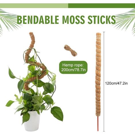 Monstera-Pflanzenstützen aus Schaumstoff und Kokosfaser, 120 cm, Stützstab für Kletterpflanzen (1/5)