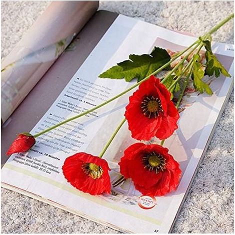 Set mit 10 künstlichen roten Seidenmohnblumen mit großen, realistischen Blüten für Garten- und Hochzeitsdekorationen - Rot H317 (1/5)