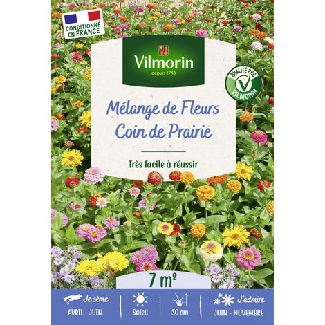 Vilmorin Coin de Prairie - 7 m² - Mélange de fleurs