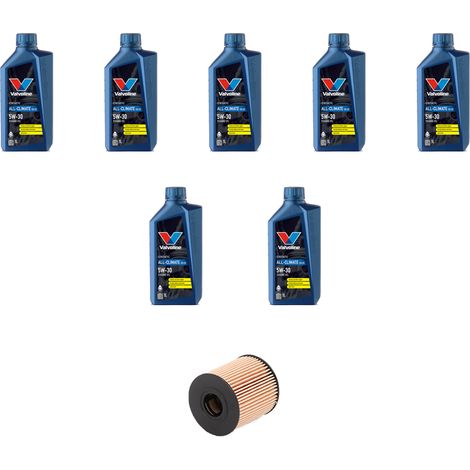 Kit filtro olio e 7L compatibile con Ford Tourneo Custom 2.2 TDCi 114kw dal 2012 (1/3)