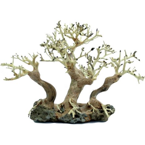 ALBERO BONSAI PROGROW BT4M 30X16X20CM