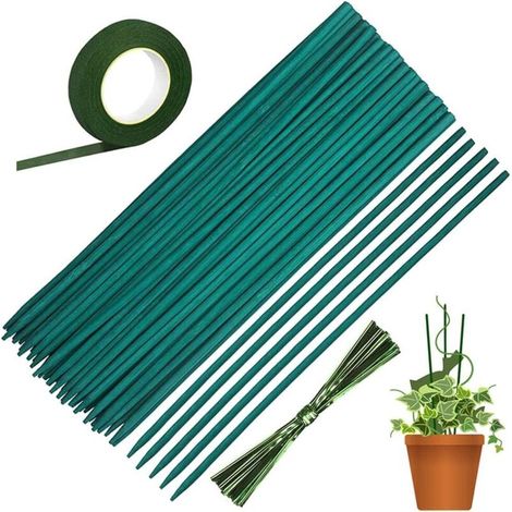 50 Pièces Tuteurs pour Plantes Vertes Bâtonnets de Soutien Tiges de Support Bambou avec 30 Yard Ruban de Papier et 50 Attaches Végétales Tuteur pour Plantes Grimpantes Bâton de Plante (15in / 38 cm) (1/5)
