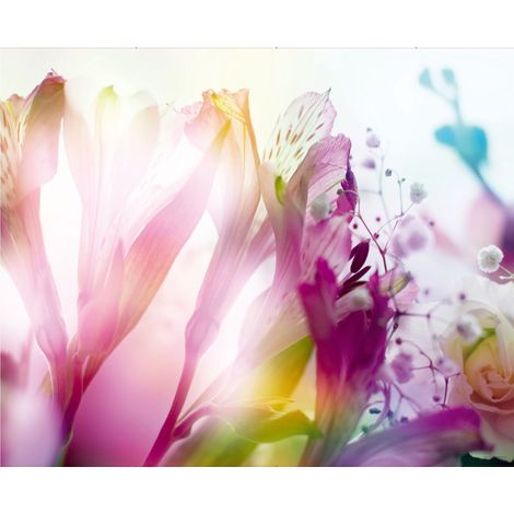 papier peint panoramique fleurs rose  - Sanders & Sanders