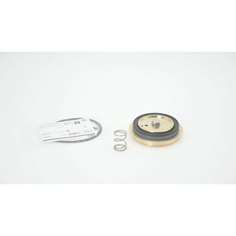 BWT Membran für Doppelventil G 2", trinkwasserkonform, 2-060567
