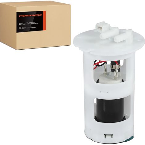Benzinpumpe, Breite 79,5 mm, Höhe 170 mm, Spannung 12 V, Durchflussrate 90 l/h, Betriebsdruck 3 bar (1/5)