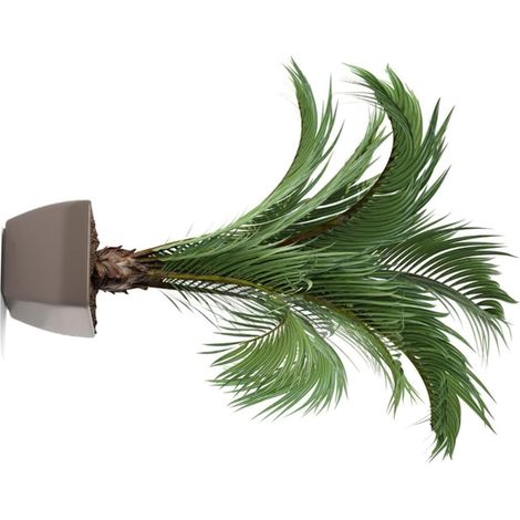 Sticker Mural Plantes Vertes en Pvc Réaliste, Autocollant Facile à Appliquer Enlever pour Décoration Murale de Chambres et Salons (1/5)
