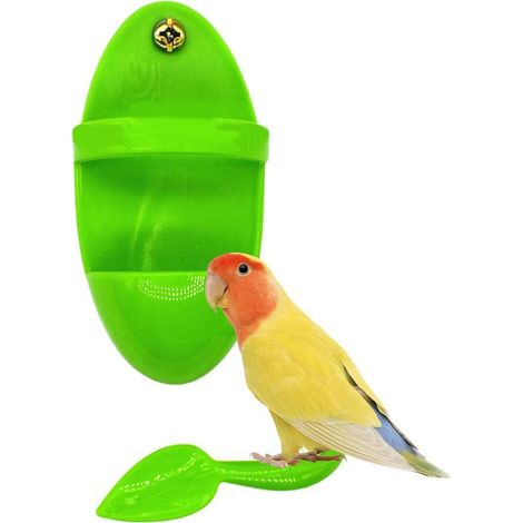 Porte-os de seiche pour oiseaux, gamelle pour perruches, accessoire pour cage à oiseaux, rangement pour fruits et légumes pour perruches (1/5)