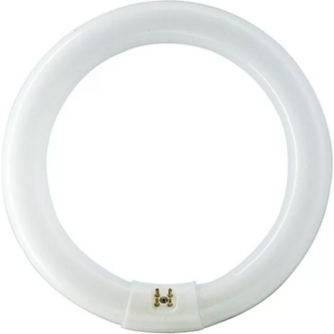 Philips – Ampoule G10Q TL-E Circular 559562 32W – Couleur lumière 6400K – 2050lm – Tube fluocompacte pour éclairage professionnel