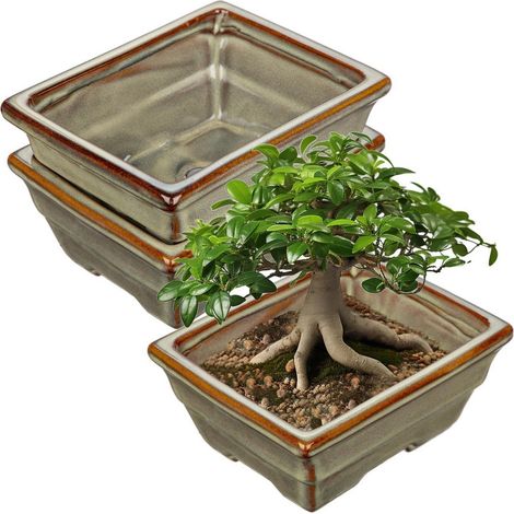 2er-Set Keramik Bonsai-Töpfe mit Entwässerungsloch, flache Pflanzschalen für Zimmerpflanzen (1/5)