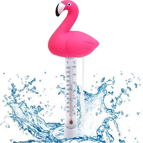 Thermomètre de Piscine Flottant avec Corde - Forme de Dessin Animé pour Aquariums et Piscines (1/5)