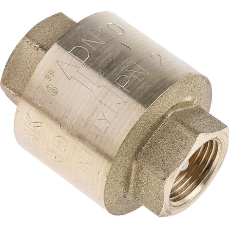 Clapet antiretour en Laiton RS PRO BSPP 3/8" ( Prix pour 1 )
