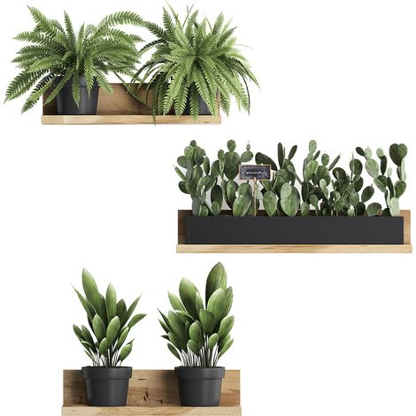Autocollant mural amovible en PVC 3D Bonsaï - Décoration créative de plantes en pot pour chambre et salon. (1/5)