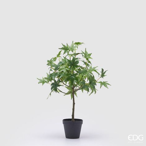 EDG Enzo De Gasperi Acero con Vaso Artificiale H 56 Cm Green