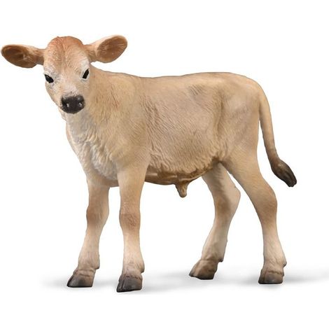 Jersey-Kalb