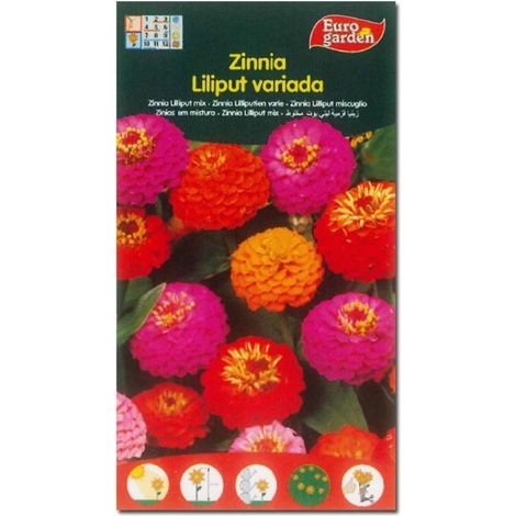 semillas fito flores zinnia liliput variada 00608 (caja 10 unidades)