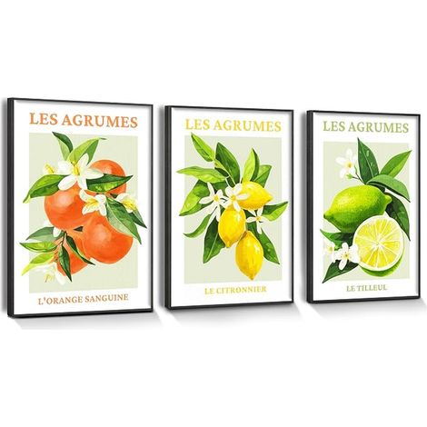 Frame Wall Decoration for Bedroom Living Room Lemon Orange Blood Fruit Canvas Wall Decoration Bathroom Office Kitchen (1/5)