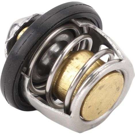 Thermostat IZUMI pour Hyundai 17670-33401 Suzuki DR-Z400 VZ800 VL800 (1/5)