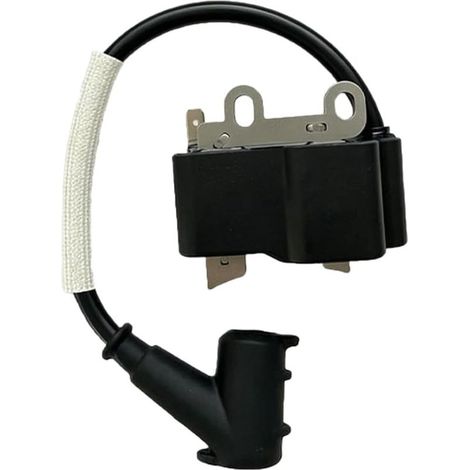 Module bobine haute tension pour débroussailleuse pour echo Module (1/5)