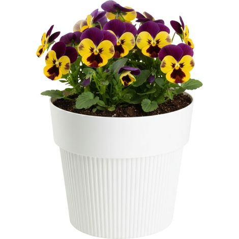 Vaso da fiori SILVA LINE in plastica riciclata, colore crema, altezza 13,8x16 cm.