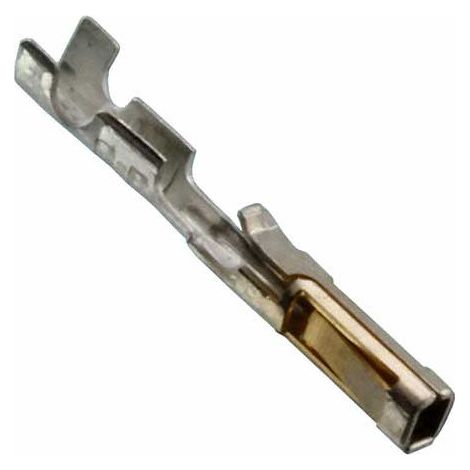 Borne SL CyClone Modu MTE Femelle d'Or