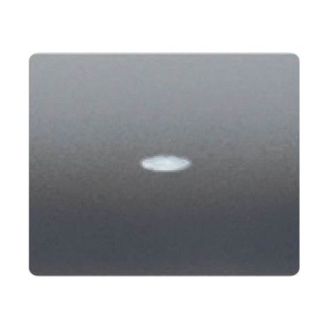 Schalter, Schalter oder Kreuztaste mit hellem STAHL NEPTUN BJC IRIS 18705-ANL