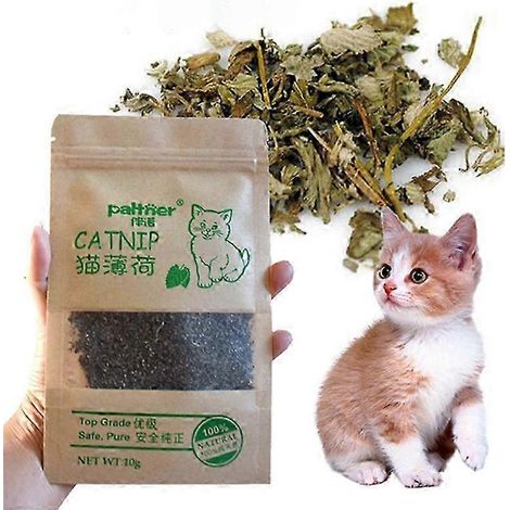 1–10 Stück natürliches Premium-Katzenminze-Rindergras, interaktiv für Katzen, ungiftig, 10 g Mentholgeschmack, lustiges Katzenzubehör, hält die Gesundheit Ihrer Katze aufrecht