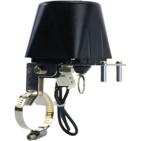 Vanne de manipulation automatique électrique pour conduite de gaz DN15 DN20 DN25 avec alarme gaz/eau et coupure d'urgence 12 V (1/4)